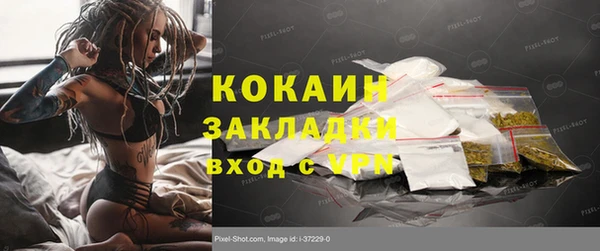 прущий лед Алзамай