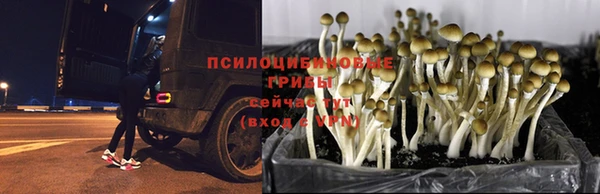 кристаллы Алексеевка