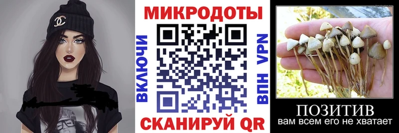 Псилоцибиновые грибы Psilocybine cubensis Нововоронеж