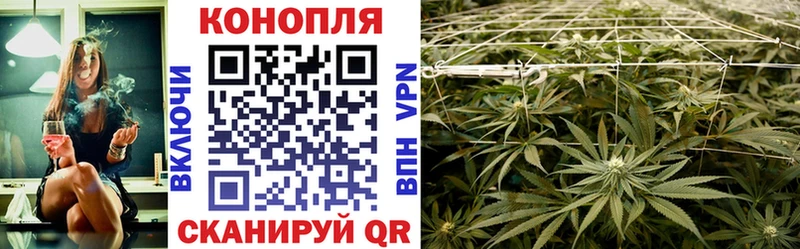 Канабис OG Kush  Нововоронеж 